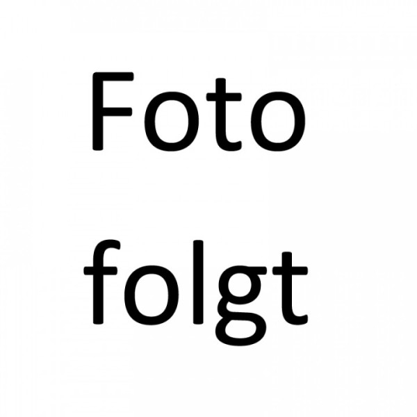 ESD Fugendüse